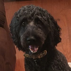 Meet your Posher, Kiersten